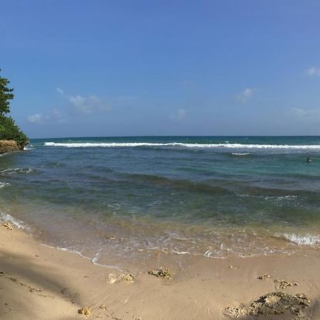 Villa Ti Bleu Caraibes 8 Personnes A St Francois Saint-Francois  Exteriör bild