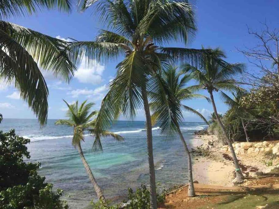 Villa Ti Bleu Caraibes 8 Personnes A St Francois Saint-Francois  Exteriör bild
