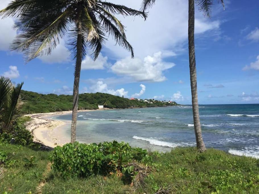 Villa Ti Bleu Caraibes 8 Personnes A St Francois Saint-Francois  Exteriör bild